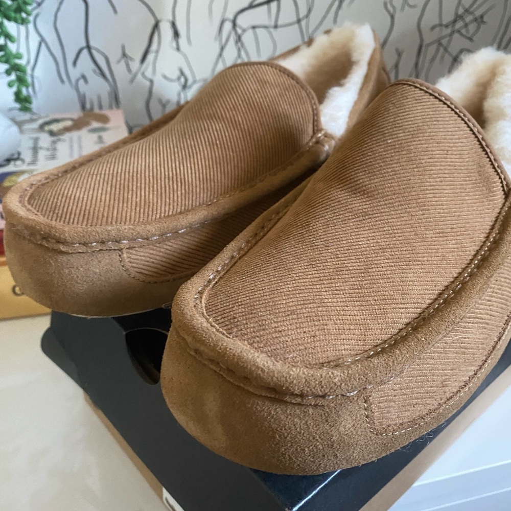 NWT Ugg Men’s Ascot slipper, chestnut, size 12/13